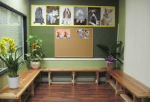 Lovely Pet Grooming购物图片