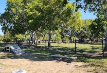 Kirwan Dog Park景点图片