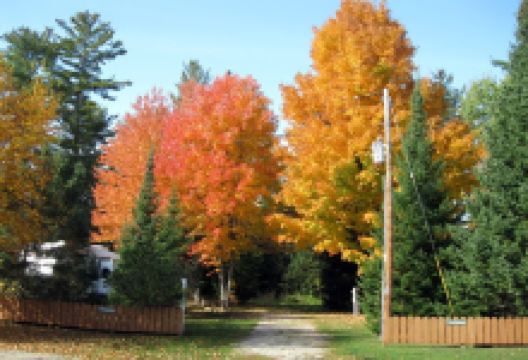 Northland Outfitters Campground & Canoe / Kayak Livery购物图片