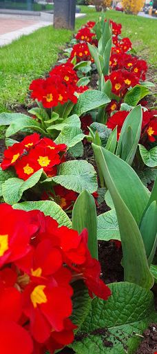 Estatua del Labrador-拉里奥哈省