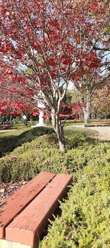 Canberra Nara Peace Park-亚拉伦拉