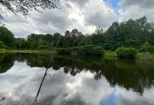 Rowands Pond Wildlife Management Area景点图片