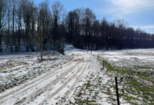 Relais d houchenee (calèche)景点图片