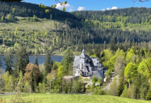 EnBW Seminar- und Ferienhaus Titisee景点图片