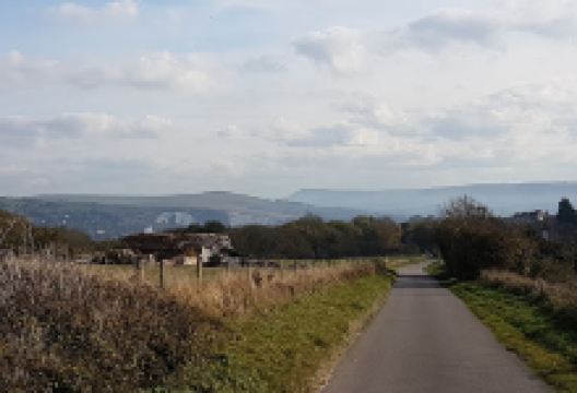 Lewes Community Allotment Project LCA景点图片