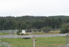 Sheartown Dog Park景点图片