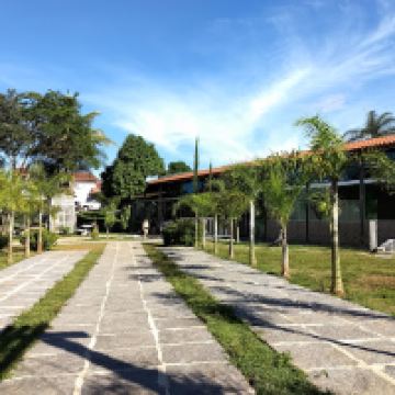 韦斯帕西亚努图片