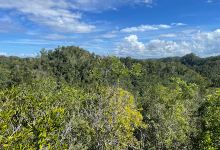 Bosque Estatal de Guajataca景点图片