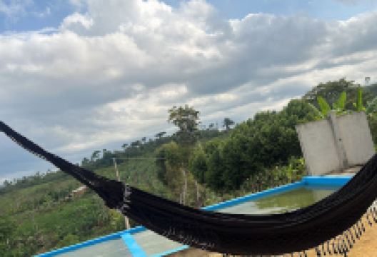 Sítio da Onça景点图片