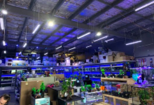 All About Fish购物图片