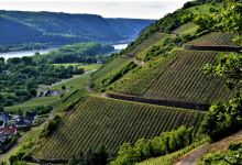 Aussichtspunkt Rheinbrohler Ley景点图片