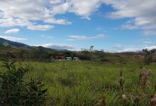 Complejo Ecoturistico Madidi景点图片