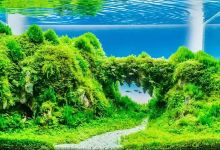 New Trishuli aqurium house景点图片