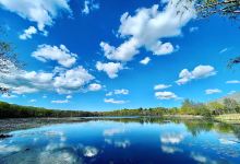 Hammond Pond Reservation景点图片
