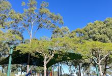 Lauradale Crescent Park景点图片