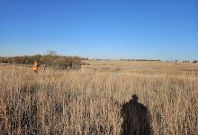 Bluestem Hunting Preserve景点图片
