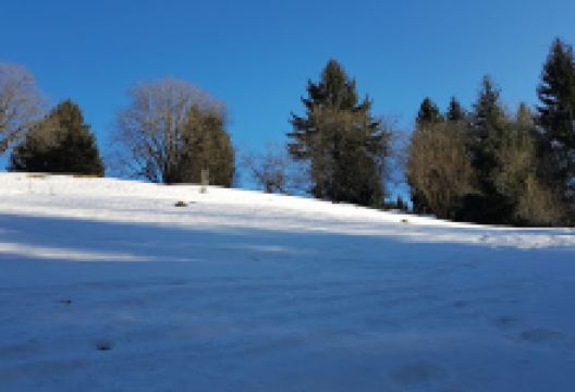 Kur Park景点图片