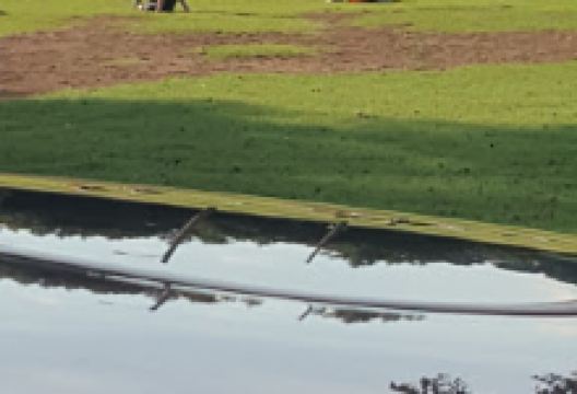 Louisville Parks & Recreation Department景点图片