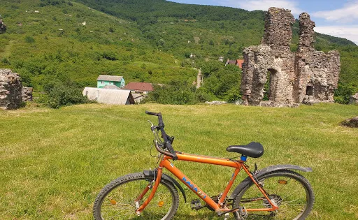 Kankiv Castle