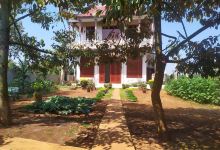 Chùa Quảng Sơn景点图片