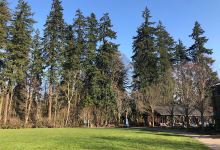 Tualatin Community Park景点图片