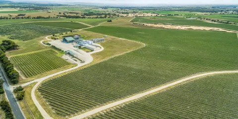 Shaw Family Vintners