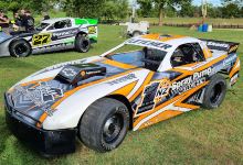 Kihikihi Domain景点图片