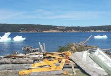 Southern Shore Shamrock Festival景点图片