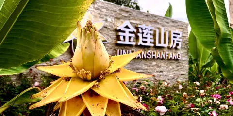 景東亞熱帶植物園