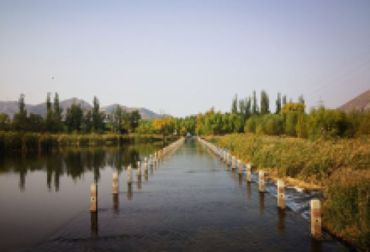 洋河湿地公园景点图片