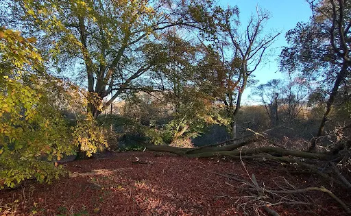 Balgavies Loch