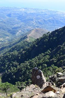 Paraje Natural Los Reales de Sierra Bermeja-Serrania de Ronda