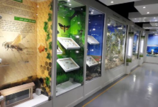 PNG Gouraya景点图片