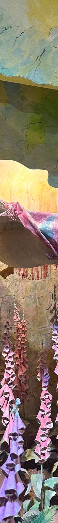 彼得兔世界-鲍内斯温德米尔