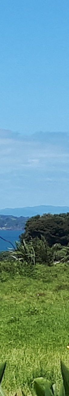 豪拉基湾-奥克兰