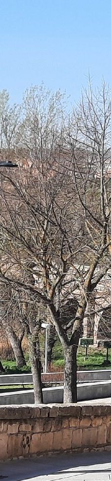 罗马古桥-萨拉曼卡