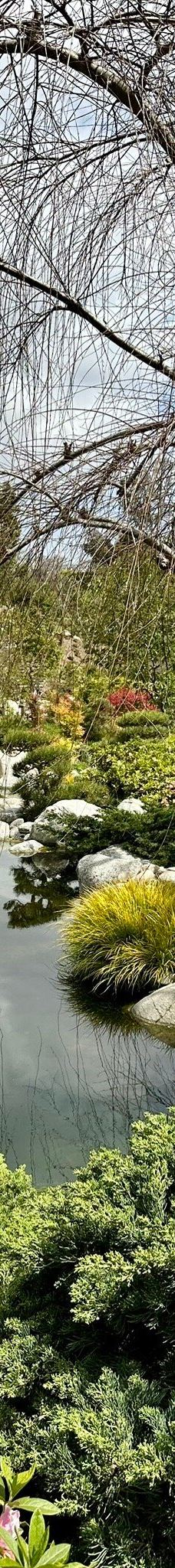 Japanese Friendship Garden & Museum-圣地亚哥