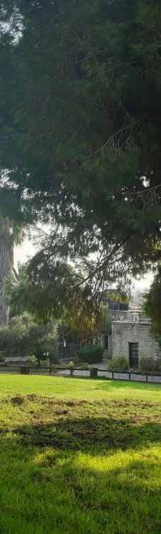 Zappa Amphi Shuni-Binyamina-Giv'at Ada