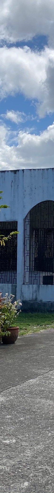 华侨义山-马尼拉市