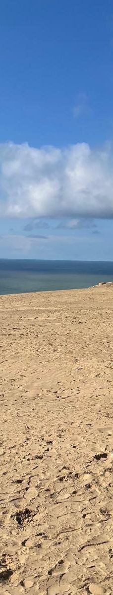 Rubjerg Knude-勒肯