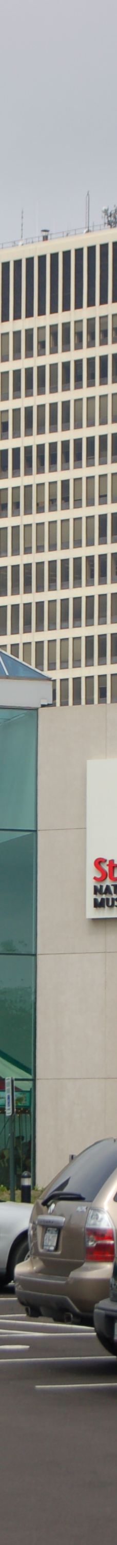 The Strong National Museum of Play-罗切斯特