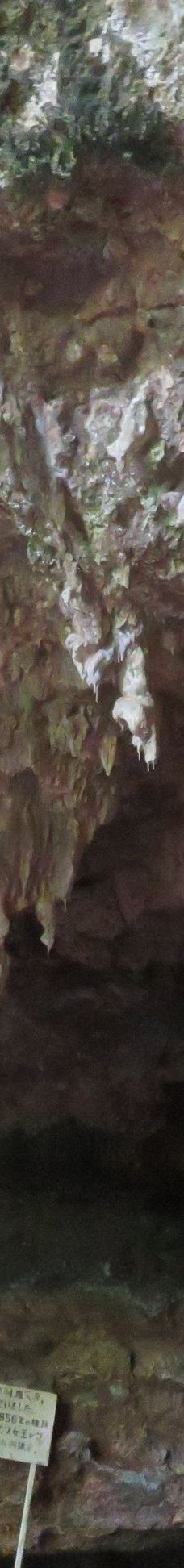 Grotte de Hortense-松树岛