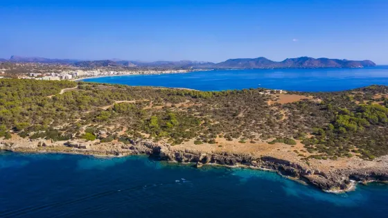 Punta de n'Amer