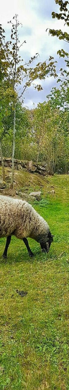 Hammer Lighthouse (Hammer Fyr)-阿灵厄