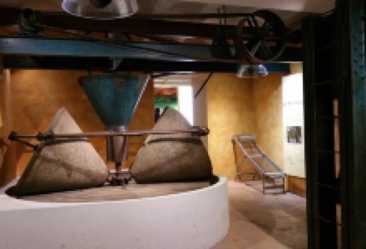 La Belluga Museo del Aceite景点图片