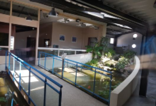 Aquarium des Tropiques景点图片