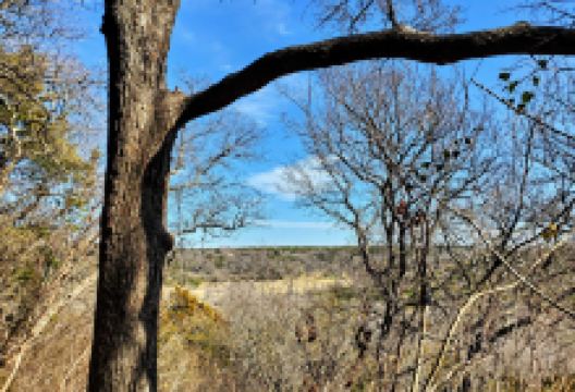 Dogwood Canyon Audubon Center景点图片