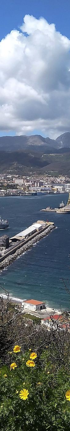 Parque de San Amaro-别德马