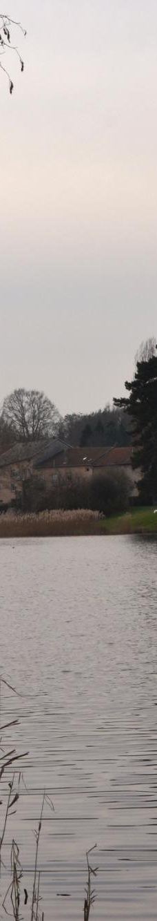 Lac de Creutzwald-柯哲斯瓦尔德拉克鲁瓦