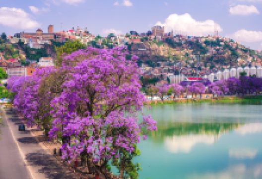 阿努西湖景点图片